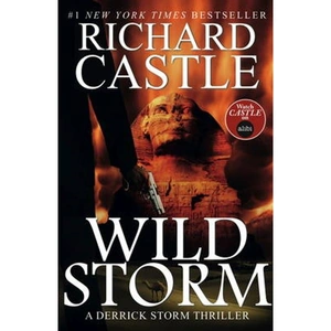 Lovereading Wild Storm A Derrick Storm Novel