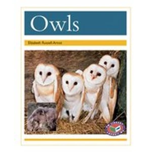 Scholastic PM Gold: Owls (PM Non-fiction) Level 22 x 6