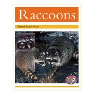 Scholastic PM Gold: Raccoons (PM Non-fiction) Level 22 x 6