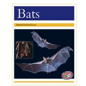 Scholastic PM Gold: Bats (PM Non-fiction) Level 22