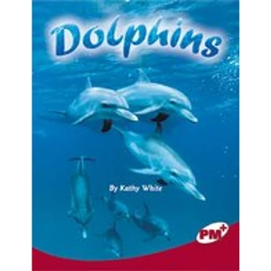Scholastic PM Ruby: Dolphins (PM Plus Non-fiction) Level 27,28