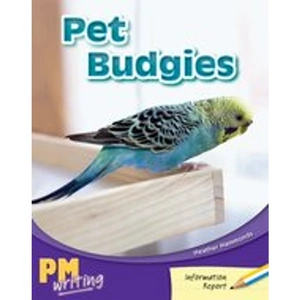 Scholastic PM Writing 1: Pet Budgies (PM Yellow/Blue) Levels 8, 9