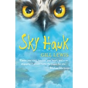 Scholastic Sky Hawk x 30