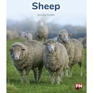 Scholastic PM Purple: Sheep (PM Non-fiction) Levels 20/21