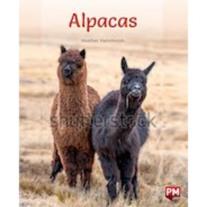 Scholastic PM Purple: Alpacas (PM Non-fiction) Levels 20/21