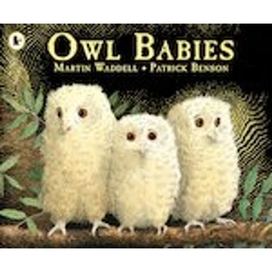 Scholastic Owl Babies x 30