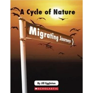 Scholastic Connectors Ages 11+: A Cycle of Nature - Migrating Journeys x 6