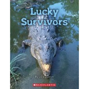Scholastic Connectors Gold: Lucky Survivors x 6