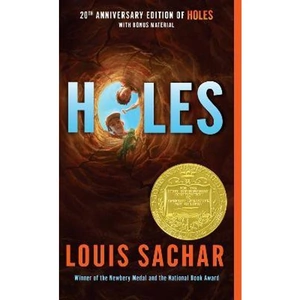 The Book Depository Holes by Louis Sachar