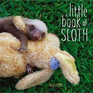 The Book Depository A Little Book of Sloth by Lucy Cooke