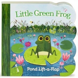 The Book Depository Little Green Frog by Ginger Swift