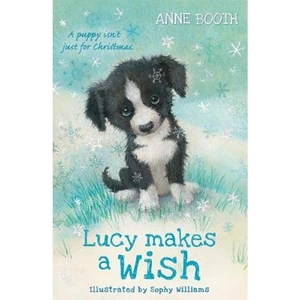 Waterstones Lucy Makes a Wish