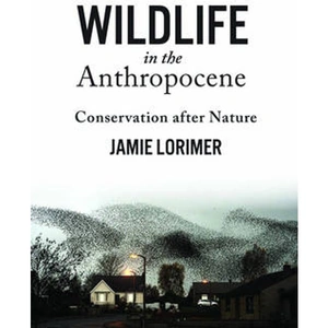 Waterstones Wildlife in the Anthropocene