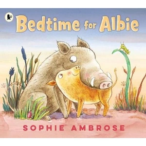 Waterstones Bedtime for Albie