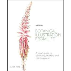 Waterstones Botanical Illustration from Life